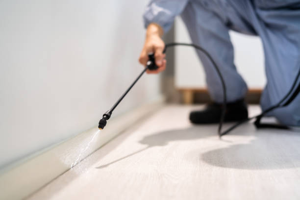 Bed Bug Pre-Treatment Preparation Assessment in Mingo Junction