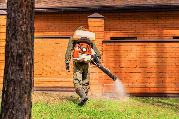 Bed Bug Clearance Verification and Documentation in Mingo Junction
